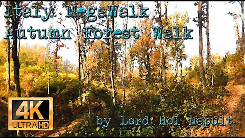 Italy MegaWalk - Autumn Forest Walk