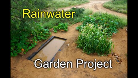 Rainwater Garden Project - Desert Permaculture 2015