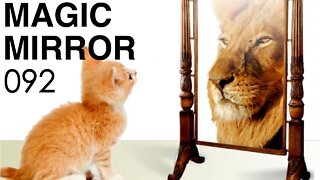 Magic Mirror 092 - Where Do Words Come From?