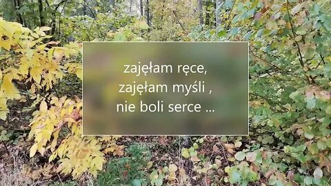 zajęłam ręce, zajęłam myśli , nie boli serce ...