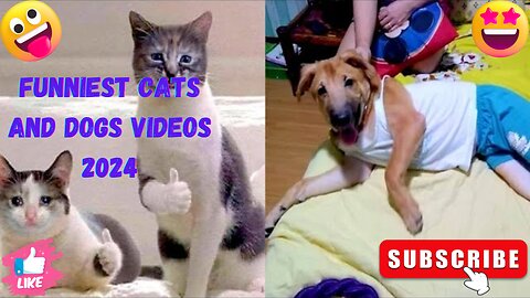 Funniest Cats and Dogs Videos 2024