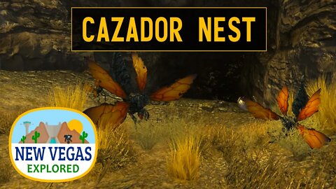 Cazador Nest | Fallout New Vegas Explored