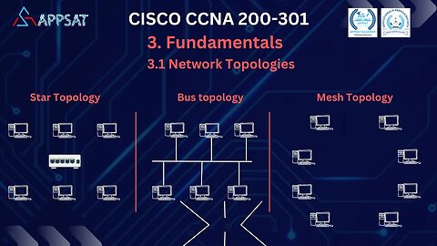 3.1 Network Topologies