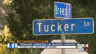 Teenager Arrested on Murder Charges