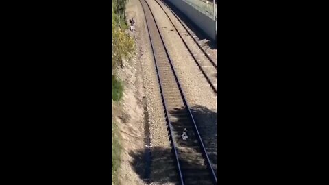 Homen salva cachorro preso nos trilhos do Trem