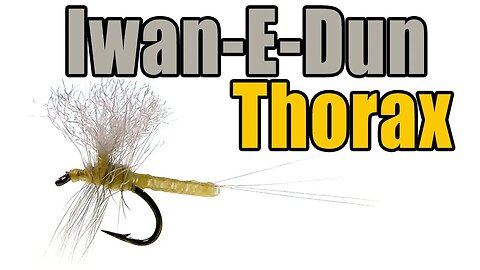 Iwan-E-Dun Thorax Style Fly Tying - Phil Iwane Fly Pattern