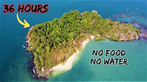 Alone on a Deserted Tropical Island with NO FOOD or WATER | Survival Challenge | Catch and Cook