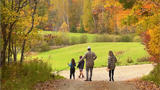 Autumn walk on a Quebec country road