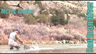 Winter MIDGE Fly Fishing On the San Juan River Tailwater for Trout - McFly Angler Episode 3