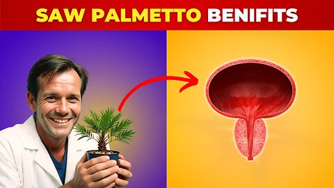 Do You Know What Saw Palmetto Benefits after 40 | Prostate Cure?