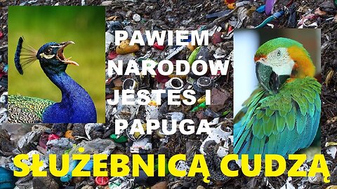 POLSKA ŚMIETNIKIEM EUROPY, POLACY MIĘSEM ARMATNIM NATO