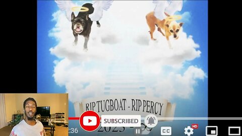 RIP TUGBOAT! RIP PERCY! | Lil Darkie - They Just put My Dog Down | Reaction