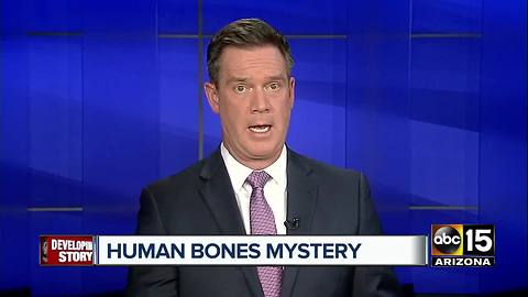 Human bones discovered in Buckeye farm field