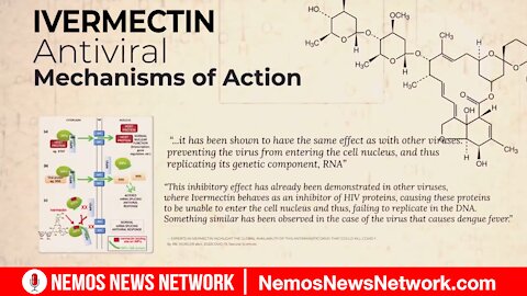 The Ivermectin Story - (Mirror)