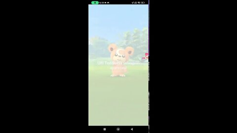 Live de Pokémon GO - Dia Comunitário de Teddiursa