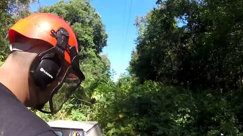 Ventrac 4500Y diesel Using TOUGH CUT! Breaking through to super overgrown weeds. Part:2