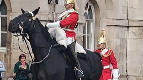 Kings Guard horse farts in front of touristaking them laugh 😂 😆 🤣 😂 😆 🤣 #horseguardsparade