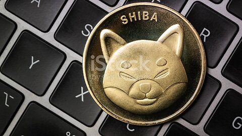 Shiba inu coin