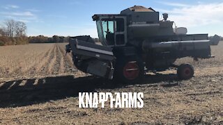 Mud bogging in a gleaner M2