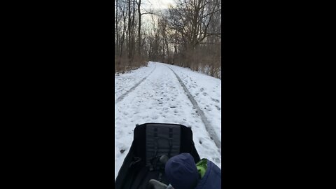 Woodland baby seeing deer