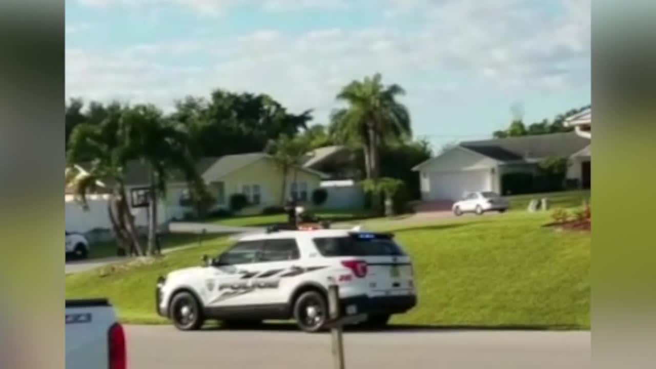 VIDEO: Dog gets solo car ride in Port St. Lucie