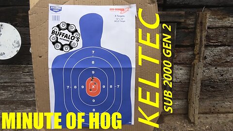 KELTEC SUB 2000 9mm Accuracy/Velocity