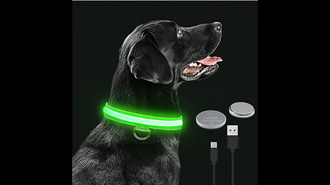 Luminous Dog Necklace LED