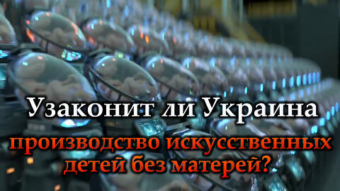 ВВП: Узаконит ли Украина производство искусственных детей без матерей?