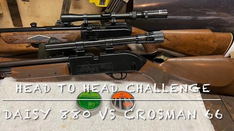 Head to head challenge Daisy 880 vs. Crosman 66 .177 caliber multi pump pellet rifles