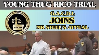 Mr Steel's appeal joined by The Georgia Association of Criminal Defense Lawyers. #ysltrial