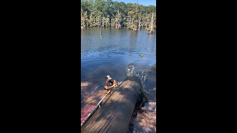 Pulling logs that’s where cut down in the late 1809