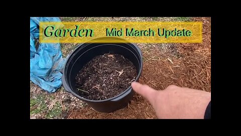 Gardening Update: Mid March Zone 7/8 boundary🌱 Spring Prepping 🌱