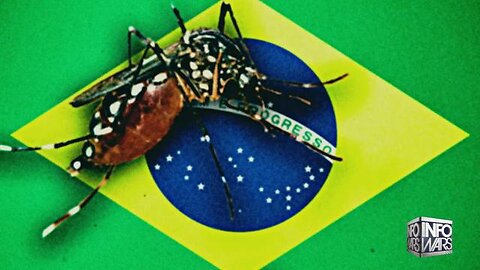 Bill Gates GMO Mosquitos Wreak Havoc In Brazil