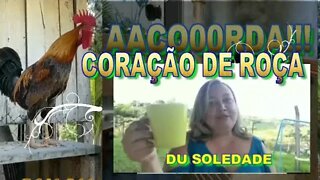 CORAÇÃO DE ROÇA DOMINGO, TÔ ESPERANDO OCÊ, VEM VÊ VEM !