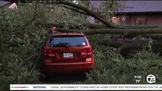 Wayne County storm damage