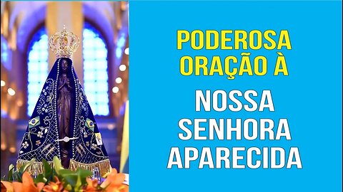 APELO A NOSSA SENHORA APARECIDA