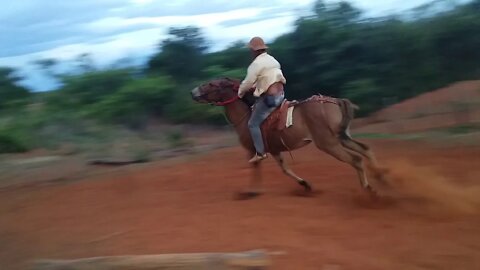 Burro Treinado -- Da Fazenda / Coisas da Roça...