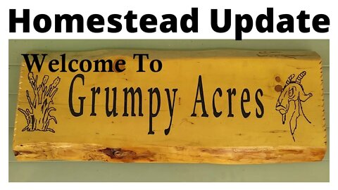 Homestead Update 7/12/22