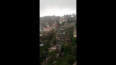 shimla