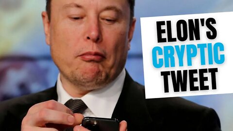 Elon's Cryptic Tweet Psychic Tarot Reading