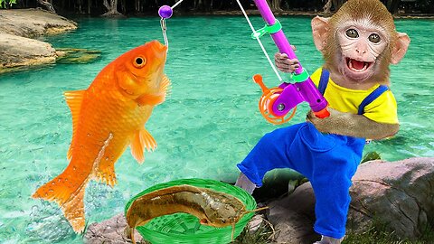 The adorable Baby Monkey, go Fishing and catch GOLDFISH and CATFISH in this hilarious video