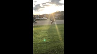 Honda Grom Wheelies