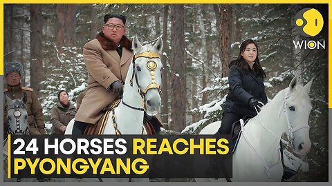 Putin gifts Kim Jong-un consignment of horses | Latest News | WION