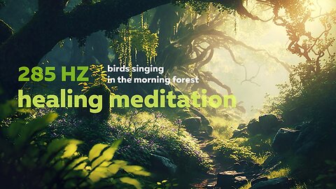 Birds Singing in the Morning Forest Sound | Healing Meditation 285 HZ | Spa Yoga Zen Calm Music