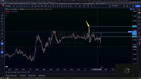 Daily Live Lab for Beginner Traders