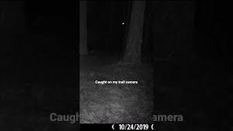 This Rancher Noticed This On His Trail Camera Deep In The Woods But Can't Explain What It Captured