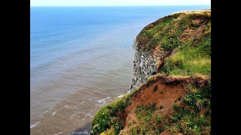 walking around Bempton Cliffs