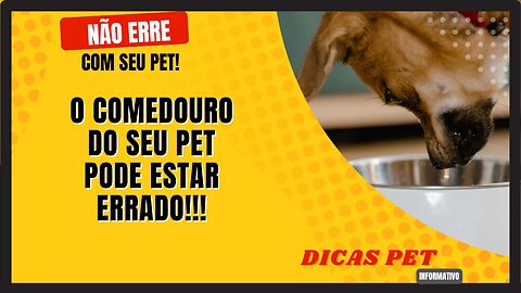 O COMEDOURO DO SEU PET PODE ESTAR ERRADO!!!