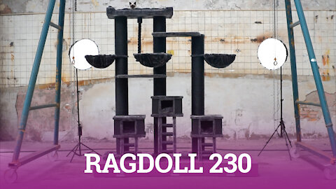 Petrebels - Ragdoll 230 - For multiple Rebels