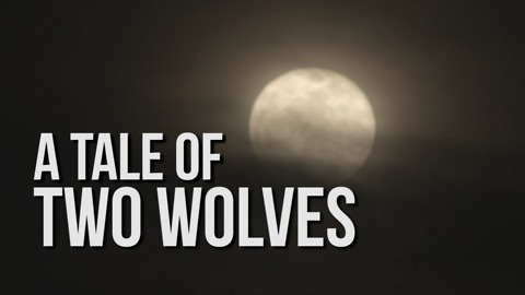 A Tale of Two Wolves